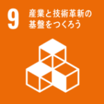 SDGS no.9