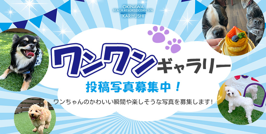 ワンワンギャラリーフォト投稿募集中！